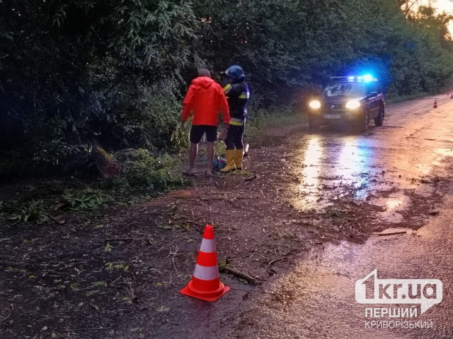 В Криворожском районе чрезвычайники убрали с автодороги 8 деревьев