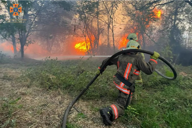 За сутки на Днепропетровщине выгорело 110 гектаров экосистемы