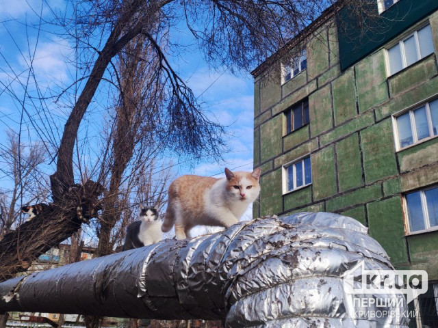 Криворізький район готується до опалювального сезону