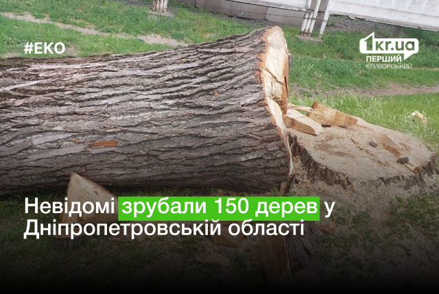 Более миллиона гривен взыскат с нарушителей Днепропетровщины за незаконную вырубку деревьев