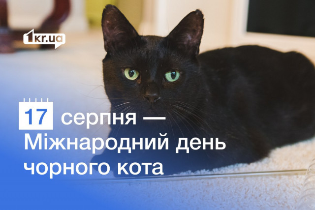 17 серпня — Міжнародний день чорного кота