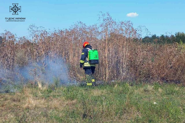 Вогнеборці Дніпропетровщини 30 разів загасили займання в екосистемах