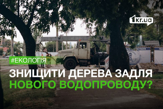 Сотни здоровых деревьев планируют уничтожить для реконструкции водопровода в Николаеве