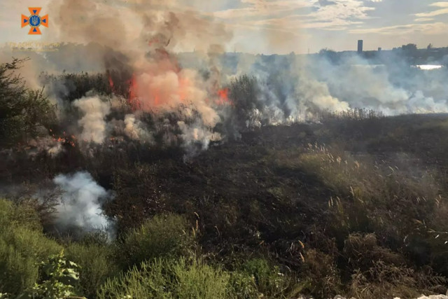 Спасатели Днепропетровщины за сутки ликвидировали 26 пожаров в экосистемах