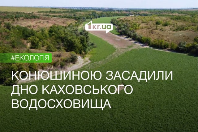 Территория Каховского водохранилища зарастает клевером