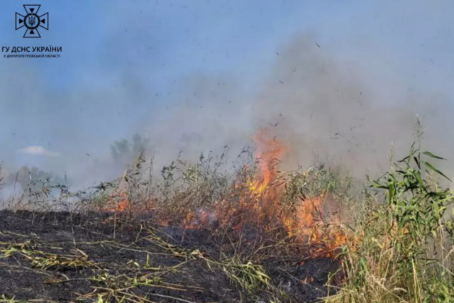 На Дніпропетровщині за добу сталося 33 пожежі на відкритих територіях