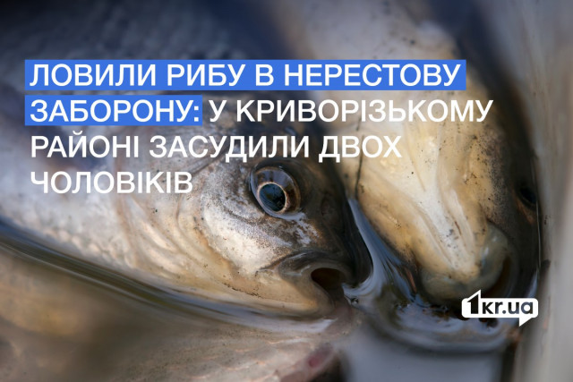 В Криворожском районе мужчин осудили за незаконный вылов рыбы