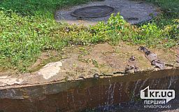 Возле Криворожского перинатального центра прорвало колодец: по улице течет вода