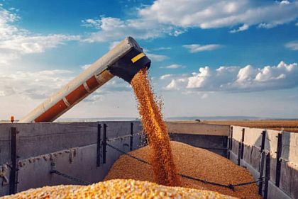 Польша закроет границу для украинских продуктов после 15 сентября: подробности