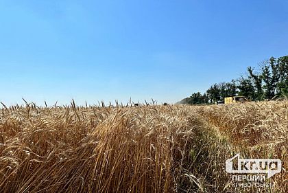 Аграрии Криворожского района собирают урожай