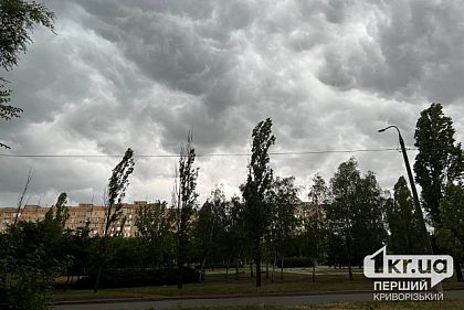 Погода в Кривом Роге 10 августа