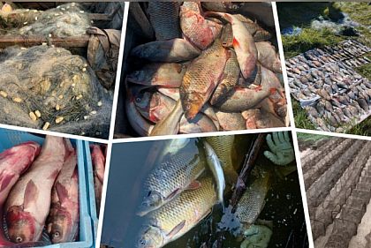 На водоемах Украины продолжаются антибраконьерские рейды