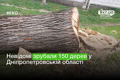 Более миллиона гривен взыскат с нарушителей Днепропетровщины за незаконную вырубку деревьев