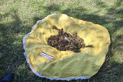 На Днепропетровщине разоблачили мужчину на незаконном вылове раков из Саксагани