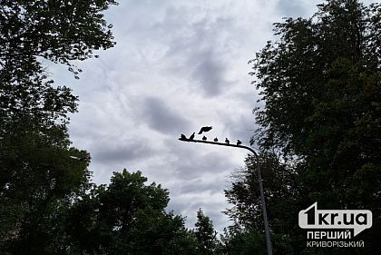 На Днепропетровщине из-за обстрелов обесточены 20 населенных пунктов