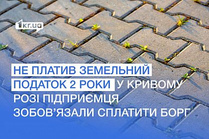 В Кривом Роге суд обязал предпринимателя уплатить земельный налог за 2 года