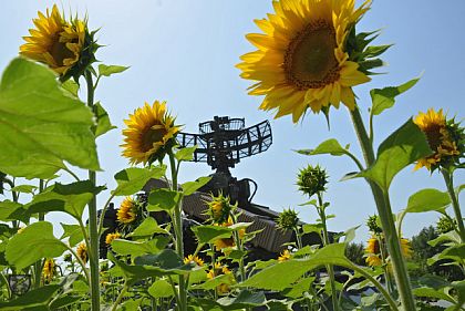 Силы обороны Украины продолжают контрнаступление на двух направлениях: сведения Генштаба