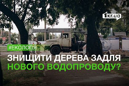 Сотні здорових дерев планують знищити задля реконструкції водопроводу у Миколаєві