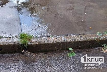 В Кривом Роге из подвала дома бежит вода: что говорит водоканал
