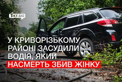 Насмерть сбил женщину, пасшую коров: в Криворожском районе осудили водителя