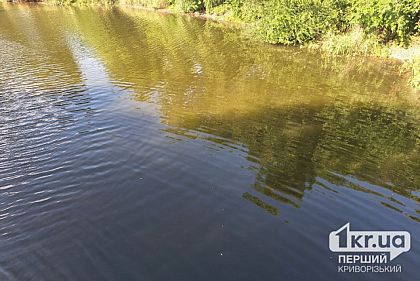 Прыгнул в реку и не вынырнул: в Кривом Роге утонул мужчина
