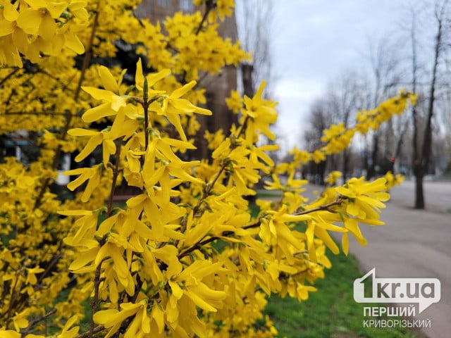 Ночь в Днепропетровской области прошла без вражеских атак