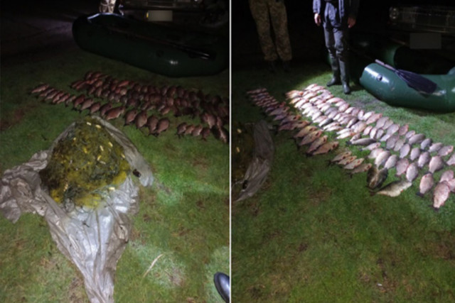 На Днепропетровщине задержали подозреваемого в браконьерстве, который наловил рыбы на более 150 тысяч гривен
