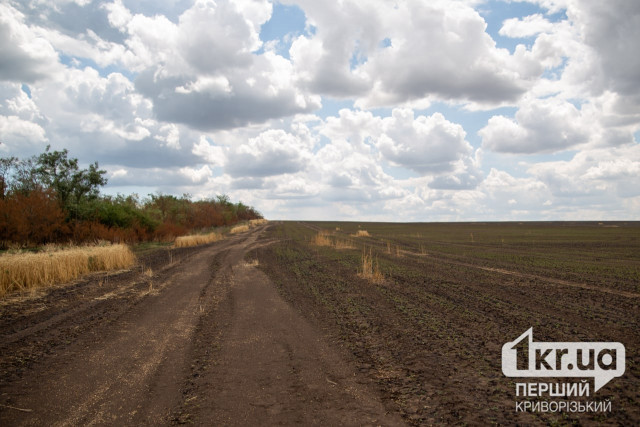 На Днепропетровщине тергромаде возвращены земли стоимостью более 2,6 миллиона гривен