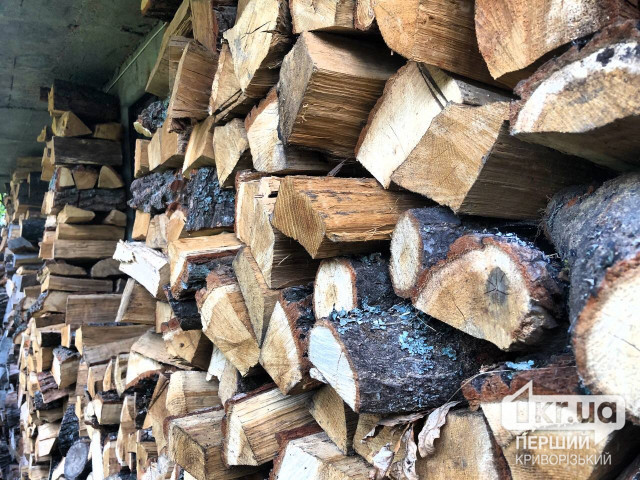 Более 1 тысячи семей получили дрова от благотворителей в Днепропетровской области