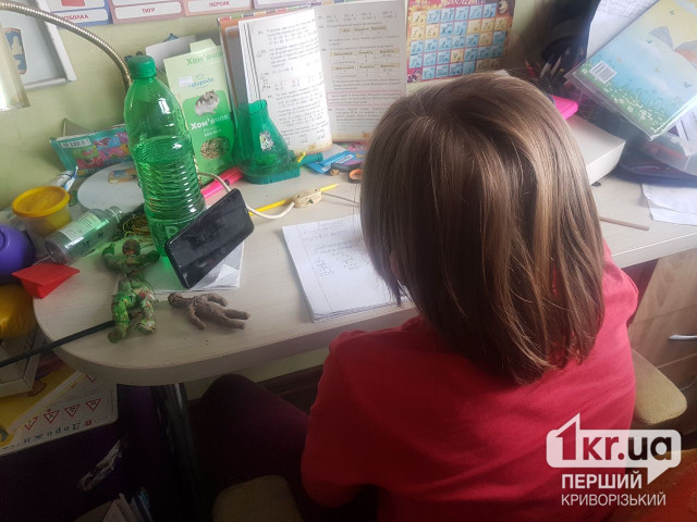 У школах Дніпропетровщини продовжує навчання 720 дітей з тимчасово окупованих територій