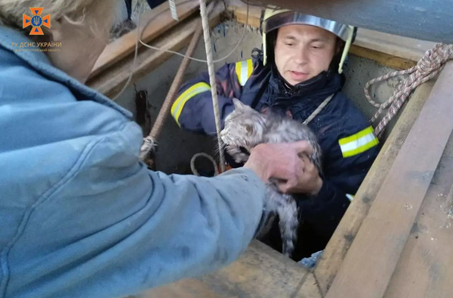 В Каменском на Днепропетровщине спасатели достали кота из колодца