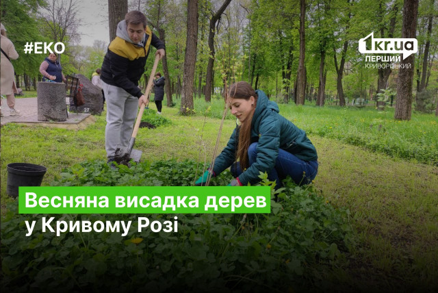 В Кривом Роге в парке Мершавцева высадили деревья и кусты