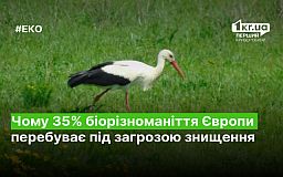 Почему 35% биоразнообразия Европы находится под угрозой уничтожения
