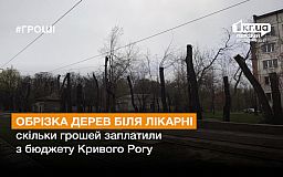 Сколько стоит омоложение деревьев возле больницы в Кривом Роге