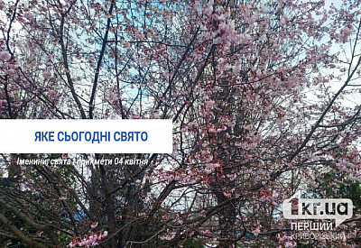 Главное фото новости