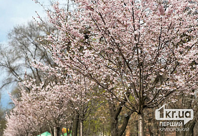 Фото к новости Головне фото новини