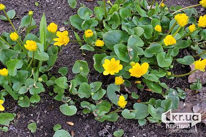 Ночь в в Днепропетровской области прошла спокойно