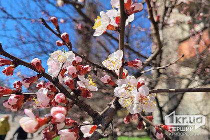 Ночь в Днепропетровской области прошла без обстрелов