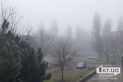 Завтра в Кривом Роге ожидается туман, — предупреждение от ГСЧС