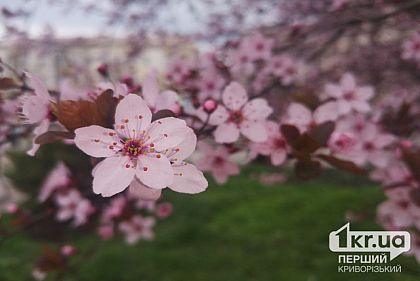 Ночь в Днепропетровской области прошла без вражеских атак