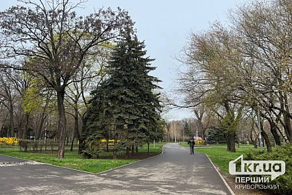 Погода в Кривом Роге 12 апреля