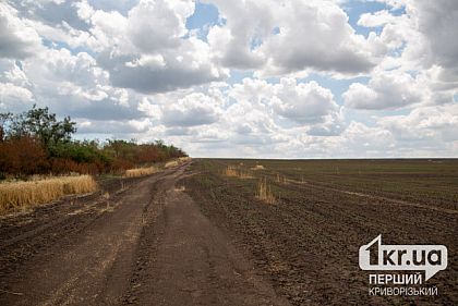 На Днепропетровщине громаде вернули земли стоимостью 1,3 миллиарда гривен