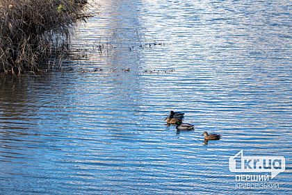 В Днепропетровской области объявили 3 уровень опасности: с чем это связано