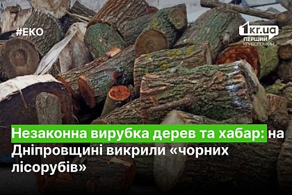 Незаконная вырубка деревьев и взятка: на Днепровщине разоблачили «черных лесорубов»