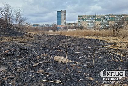 Криворожан призывают не выжигать камыши и сухую траву