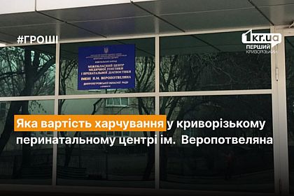 Какая стоимость питания в криворожском перинатальном центре им. Веропотвеляна