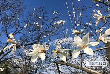 Погода в Кривом Роге 25 апреля