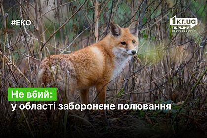 Не убивай: на Днепропетровщине запрещена охота