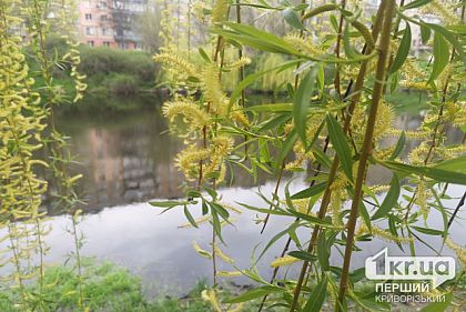 Погода в Кривом Роге 28 апреля