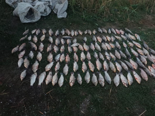 В Криворожском районе мужчина наловил рыбы 12 сетками на 200 тысяч гривен убытков
